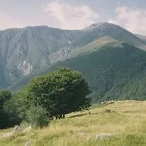 L’Europa, ogni giorno · Facebook